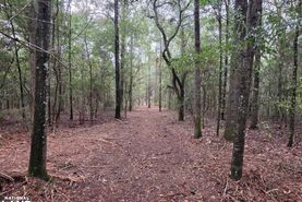 Timberland Property for sale in Geneva County, Alabama