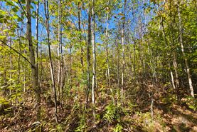 Recreational Property for sale in Androscoggin County, Maine