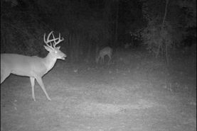 Farm and Ranch for sale in Madison County, Florida