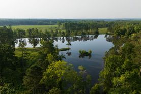 Farm and Ranch for sale in Barbour County, Alabama