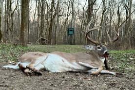 Undeveloped Land for sale in Coahoma County, Mississippi