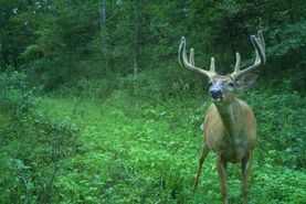 Farm and Ranch for sale in Richland County, Wisconsin