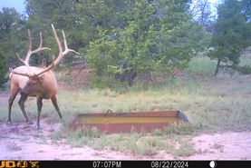 Farm and Ranch in Catron County, New Mexico