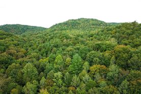 Undeveloped Land for sale in Scott County, Tennessee