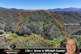 Recreational Property for sale in Mitchell County, North Carolina