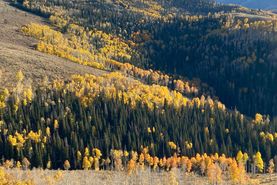 Farm and Ranch for sale in Carbon County, Utah