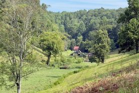 Timberland Property for sale in Cannon County, Tennessee