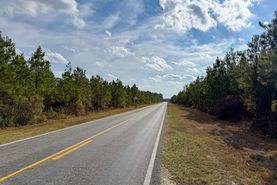 Timberland Property for sale in Appling County, Georgia