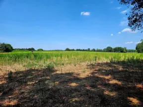 Union County, NC Land for Sale - 623 Listings | LandWatch