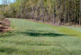 Farm and Ranch for sale in Perry County, Alabama