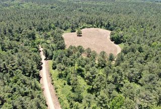 Timberland Property for sale in Marshall County, Mississippi