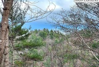 Timberland Property for sale in Wilkes County, North Carolina