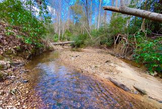 Farm and Ranch for sale in Tuscaloosa County, Alabama