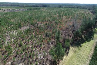 Undeveloped Land for sale in Taylor County, Georgia