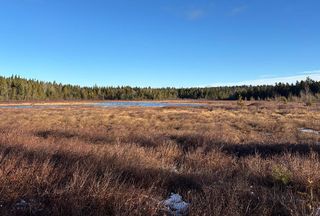 Undeveloped Land for sale in Penobscot County, Maine