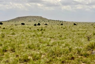Recreational Property for sale in Guadalupe County, New Mexico