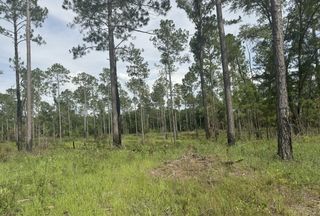 Farm and Ranch for sale in Mitchell County, Georgia