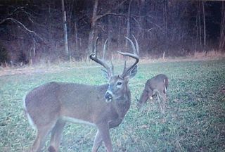 Farm and Ranch for sale in Morgan County, Missouri