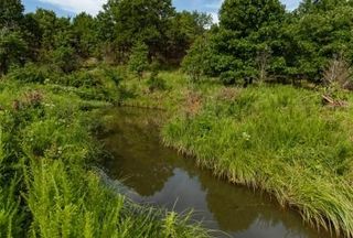 Timberland Property for sale in Osage County, Oklahoma