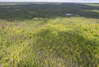 Farm and Ranch for sale in Saint Louis County, Minnesota