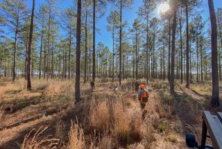 Recreational Property for sale in Crenshaw County, Alabama