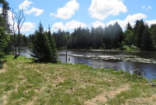 Timberland Property for sale in Lewis County, New York