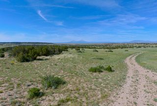 Timberland Property for sale in Huerfano County, Colorado