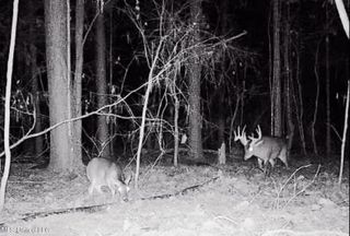 Farm and Ranch for sale in Scott County, Mississippi