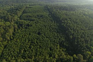 Farm and Ranch for sale in Noxubee County, Mississippi