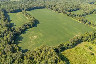 Timberland Property for sale in Hardeman County, Tennessee