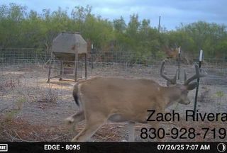 Recreational Property for sale in Duval County, Texas