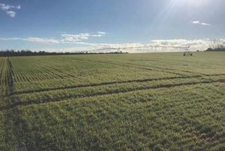 Farm and Ranch for sale in Sumter County, Georgia