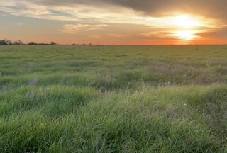 Undeveloped Land for sale in Throckmorton County, Texas