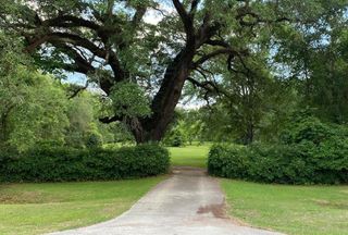 Timberland Property for sale in Houston County, Alabama