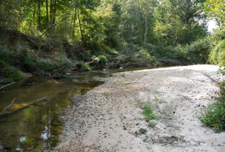 Undeveloped Land for sale in Copiah County, Mississippi