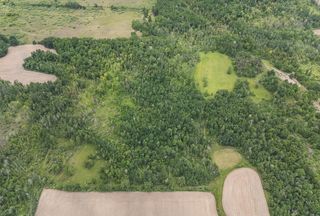 Timberland Property for sale in Arenac County, Michigan