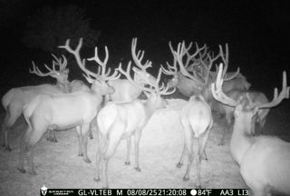 Farm and Ranch for sale in Socorro County, New Mexico