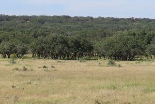 Farm and Ranch for sale in Menard County, Texas