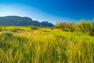 Recreational Property for sale in Presidio County, Texas