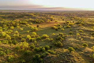 Farm and Ranch for sale in Hall County, Texas
