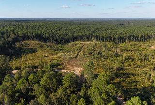 Recreational Property for sale in Yalobusha County, Mississippi