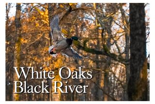 Recreational Property for sale in Clay County, Arkansas