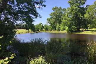 Jefferson Tx Land For Sale 69 Listings Landwatch