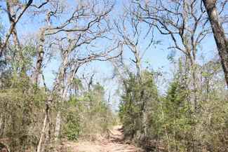 Ford Cartwright Has 3 Listings For Sale In Lufkin Tx