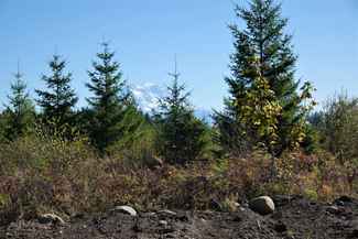 Yelm Wa Land For Sale 10 Listings Landwatch