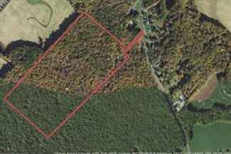 timberland south anne street