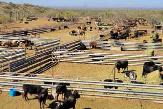 Florence Az Land For Sale 77 Listings Landwatch