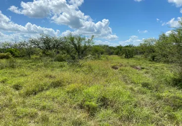 Dallas Stars go Coyote hunting in south Texas tonight