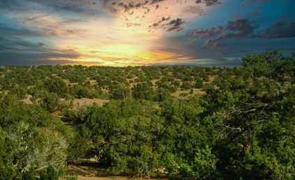 Saint Johns Apache County Az Farms And Ranches Recreational Property Hunting Property For Sale Property Id 409576250 Landwatch