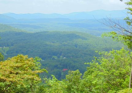 Farm and Ranch for sale in Fannin County, Georgia